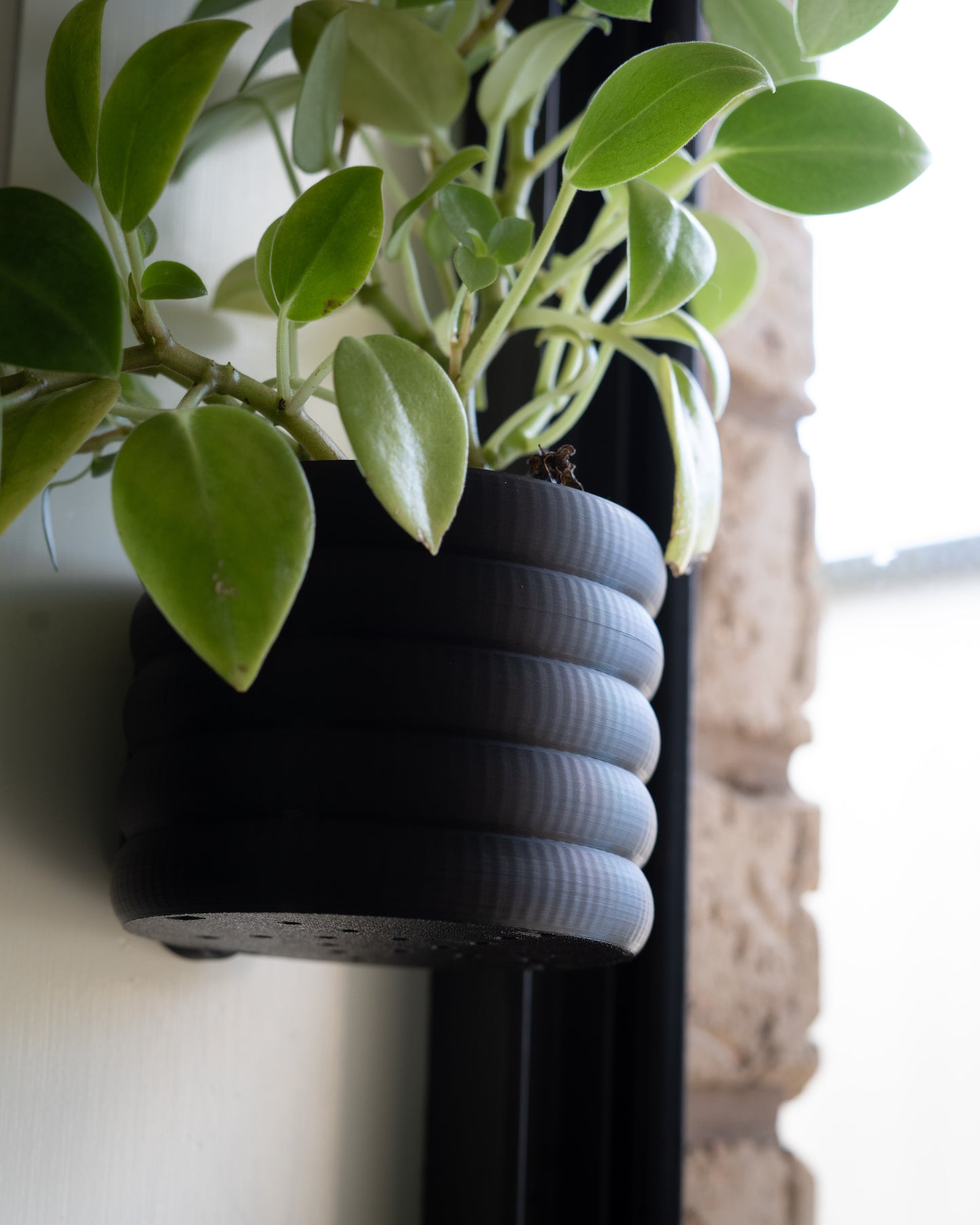 Wall Mounted Plant Pot